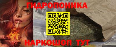 молекула духа Берёзовский