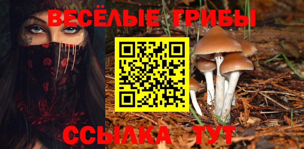 Галлюциногенные грибы мицелий Аргун