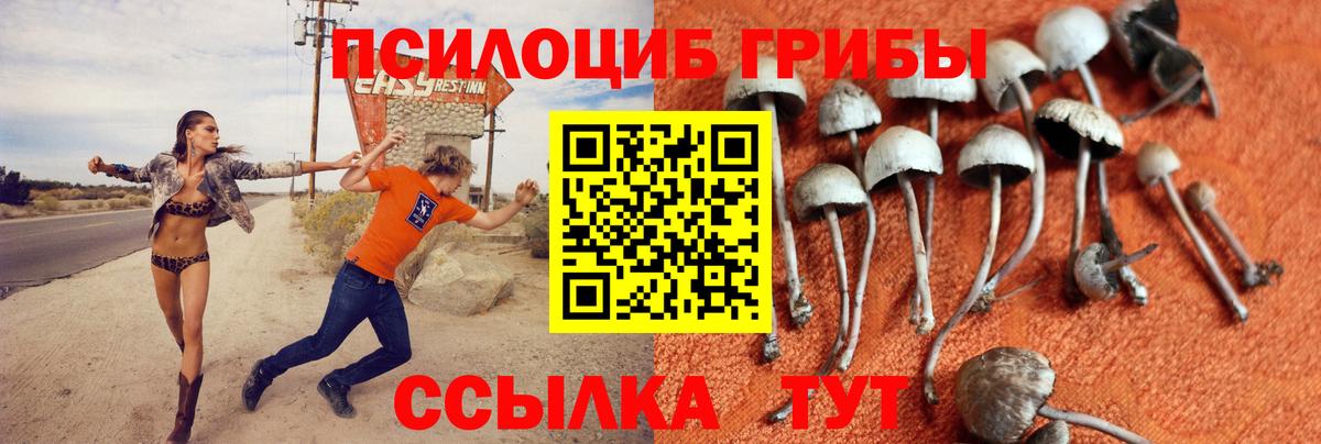 Аргун  Псилоцибиновые грибы ЛСД  Вход с VPN 